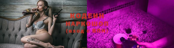прущие крисы Алзамай
