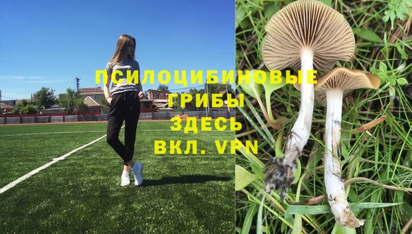 скорость mdpv Алексеевка